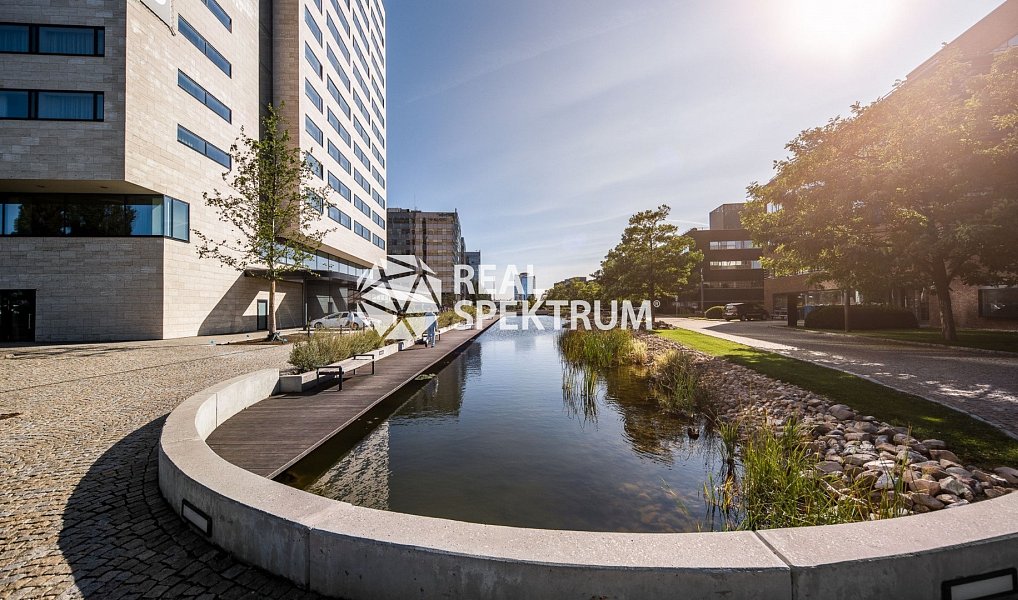 Pronájem kanceláře 240 m², Brno – náhled fotky 13