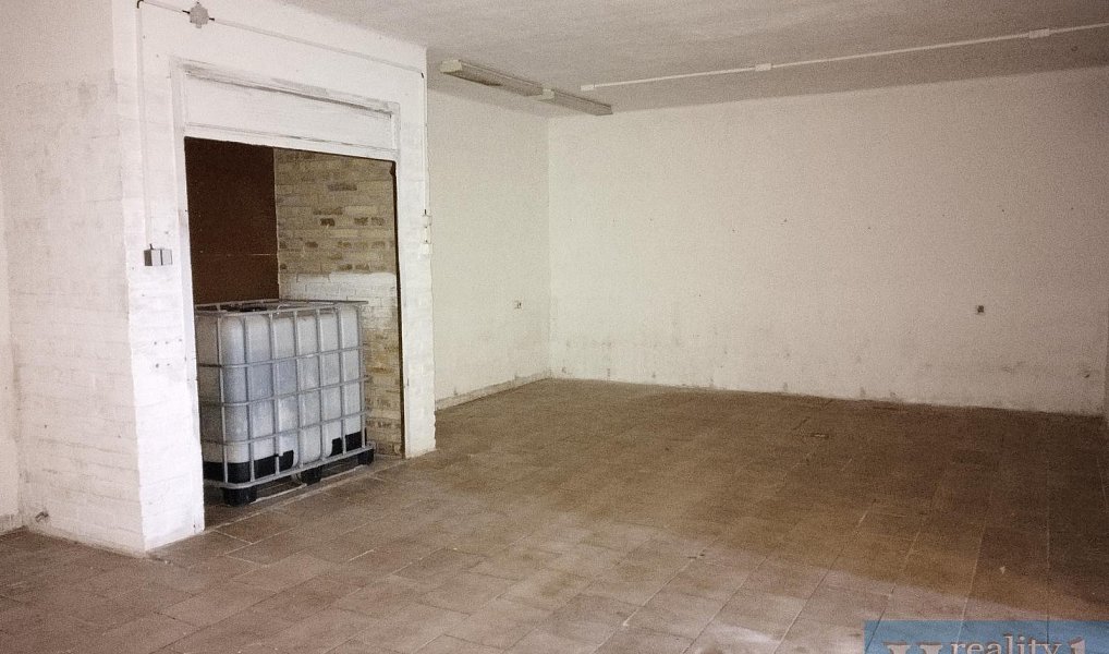 Prodej obchodních prostor 110 m², Polesí – náhled fotky 4