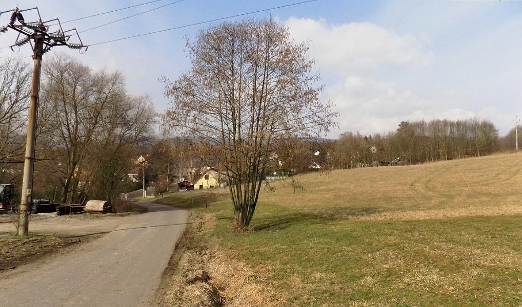 Prodej pole 25 190 m², Ústí nad Labem – náhled fotky 6
