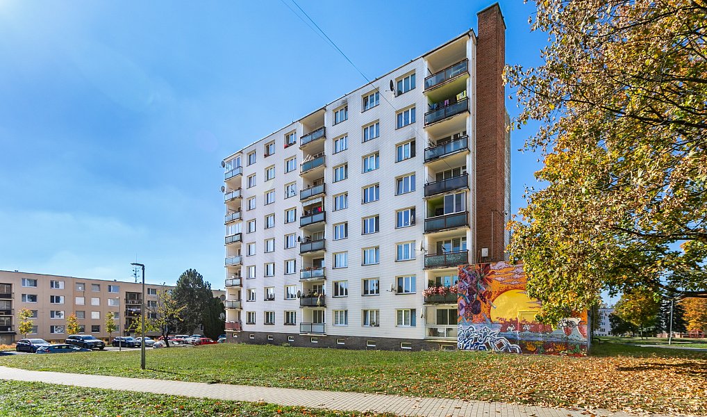 Prodej bytu 2+1 60 m², Planá – náhled fotky 18