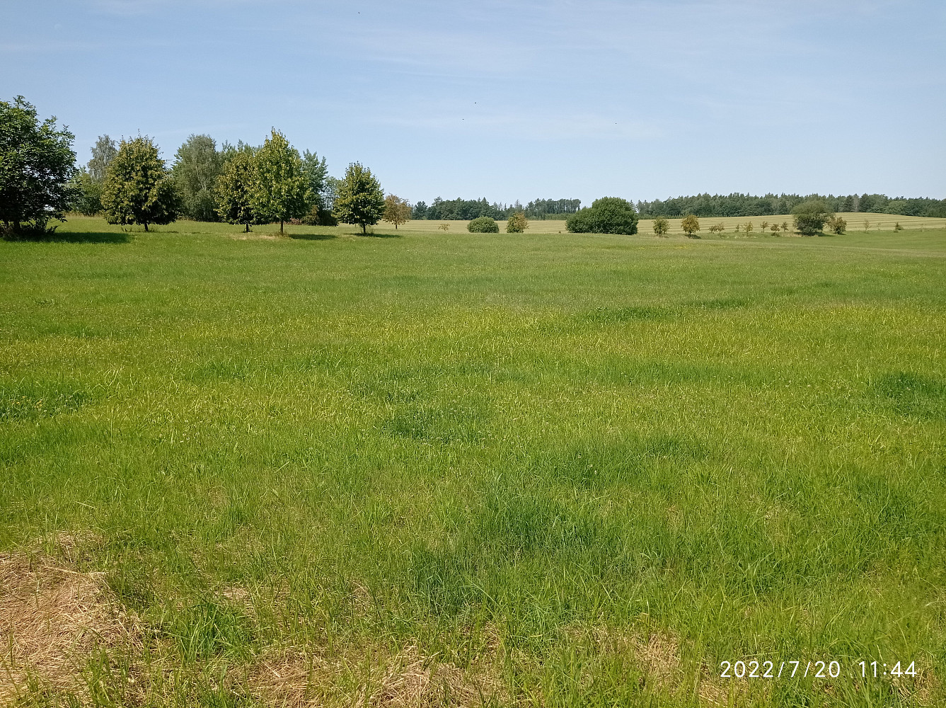 Prodej stavebního pozemku 8 856 m² — photo 5