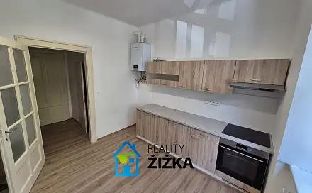 Pronájem bytu 1+1 47 m²