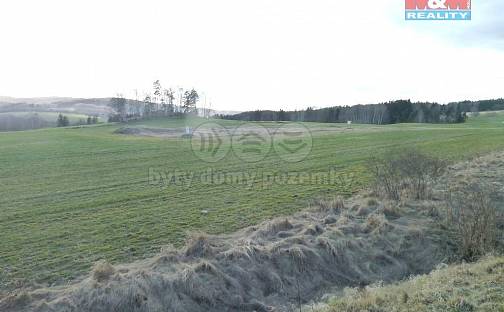 Prodej pozemku 10 000 m², Dolní Žandov, okres Cheb