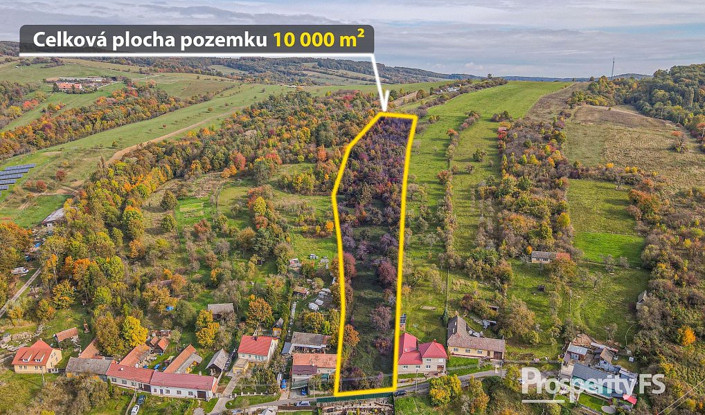 Prodej stavebního pozemku 10 000 m², Jankovice – náhled fotky 3