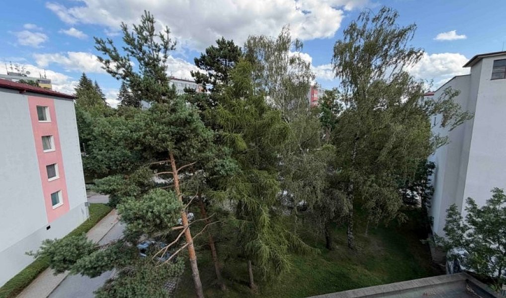Prodej bytu 3+1 76 m², Jihlava – náhled fotky 16