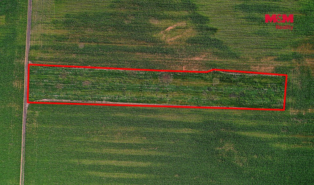 Prodej pole 9 227 m², Podivín – náhled fotky 16