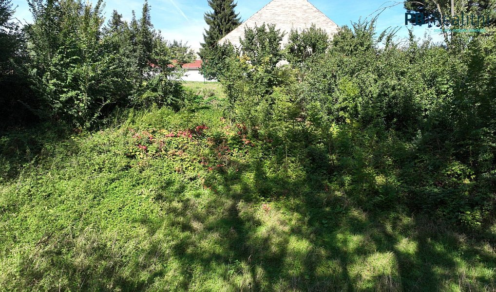 Prodej stavebního pozemku 9 180 m², Ledce – náhled fotky 17