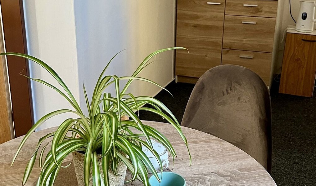 Pronájem kanceláře 34 m², Ostrava – náhled fotky 3