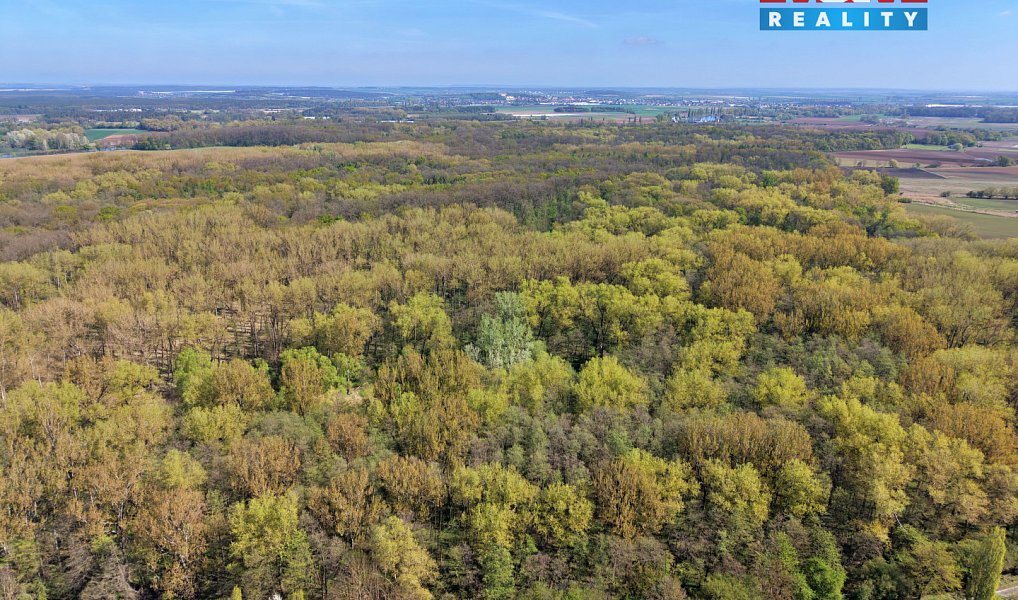 Prodej lesa 70 048 m², Přerov nad Labem – náhled fotky 2
