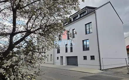 Pronájem bytu 1+1 41 m², Rejskova, Olomouc - Hodolany