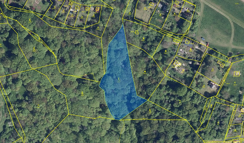 Prodej lesa 1 184 m², Chuderov – náhled fotky 6