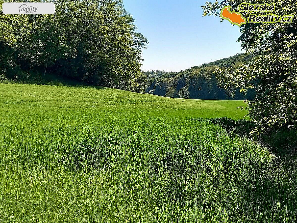 Prodej lesa 6 415 m² – fotografie 2