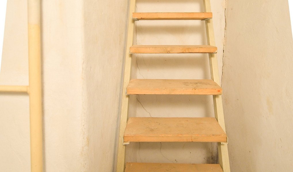 Prodej domu 310 m² s pozemkem 377 m², Benešov nad Černou – náhled fotky 23