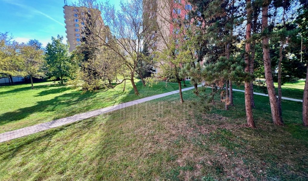 Prodej bytu 1+kk 23 m², Praha – náhled fotky 9
