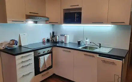 Pronájem bytu 1+1 36 m², Švestková, Ústí nad Labem - Severní Terasa