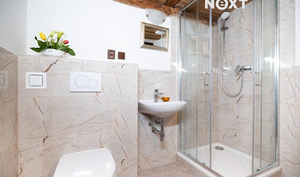 Prodej domu 600 m² s pozemkem 452 m², Teplá – náhled fotky 23