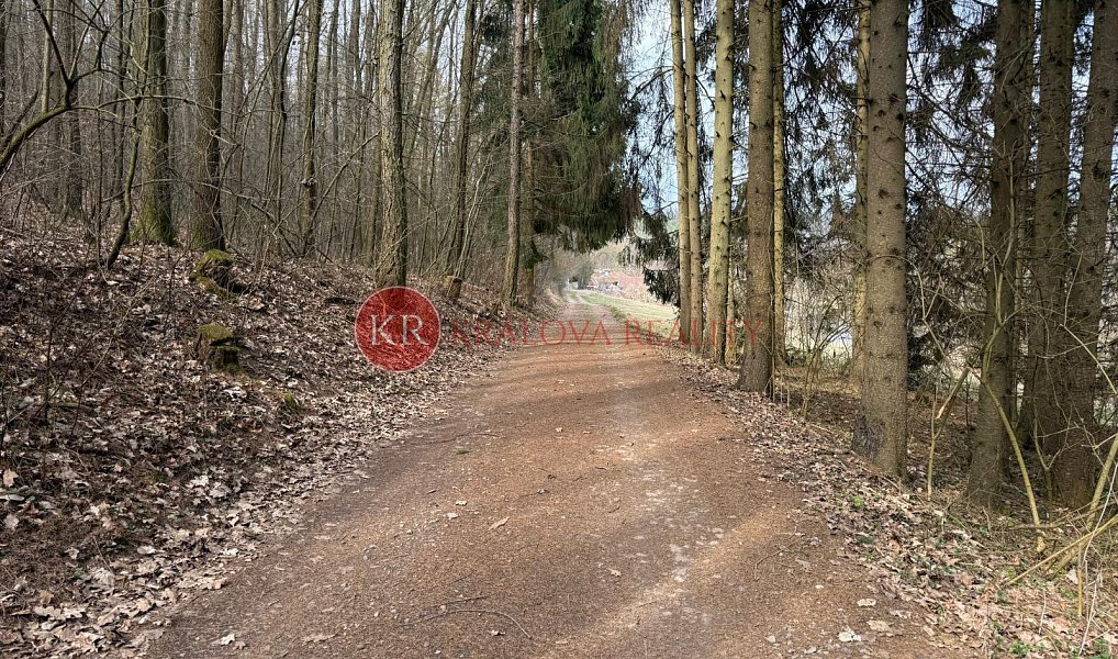 Prodej chaty/chalupy 36 m², Boršov nad Vltavou – náhled fotky 14