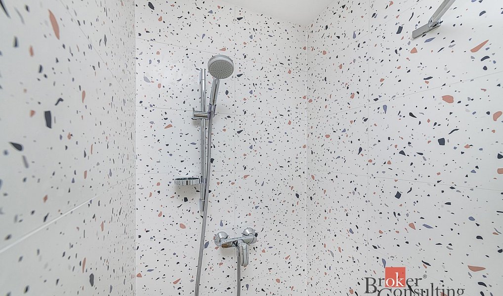 Pronájem bytu 1+kk 30 m², Plzeň – náhled fotky 13