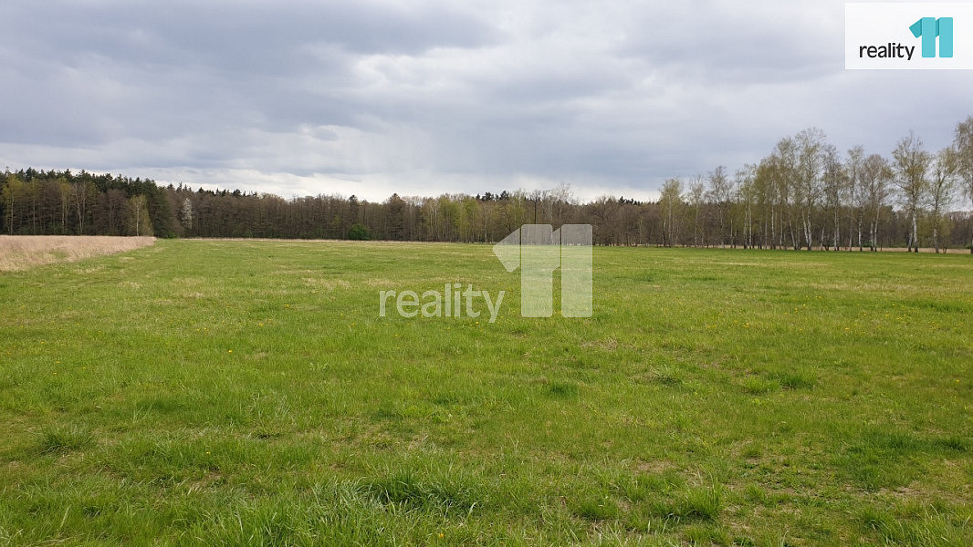 Prodej pole 33 989 m² — photo 3