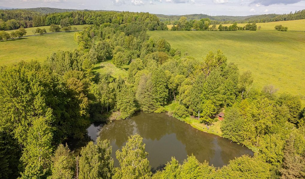 Prodej pole 54 868 m², Krajková – náhled fotky 17