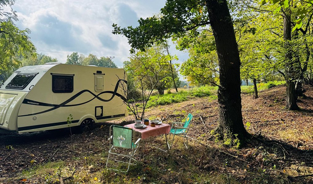 Prodej lesa 893 m², Postupice – náhled fotky 5