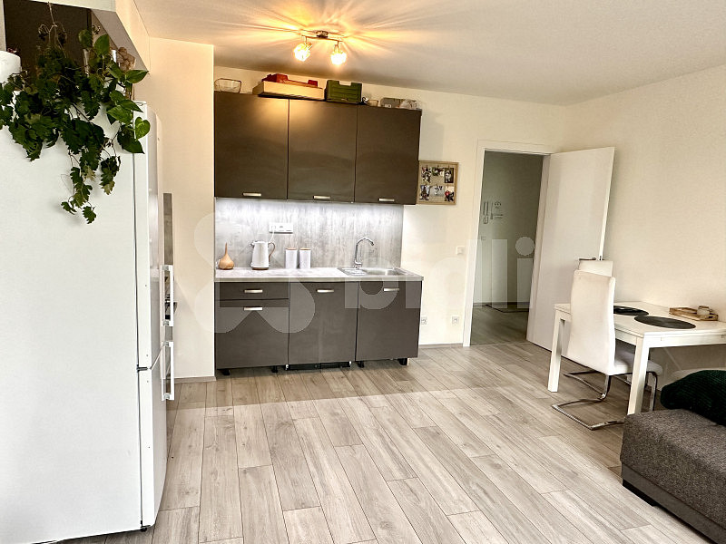 Pronájem bytu 2+kk 55 m² – fotografie 4