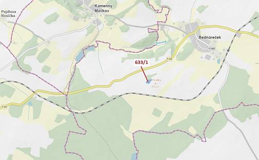 Dražba lesa 2 802 m², Bednáreček