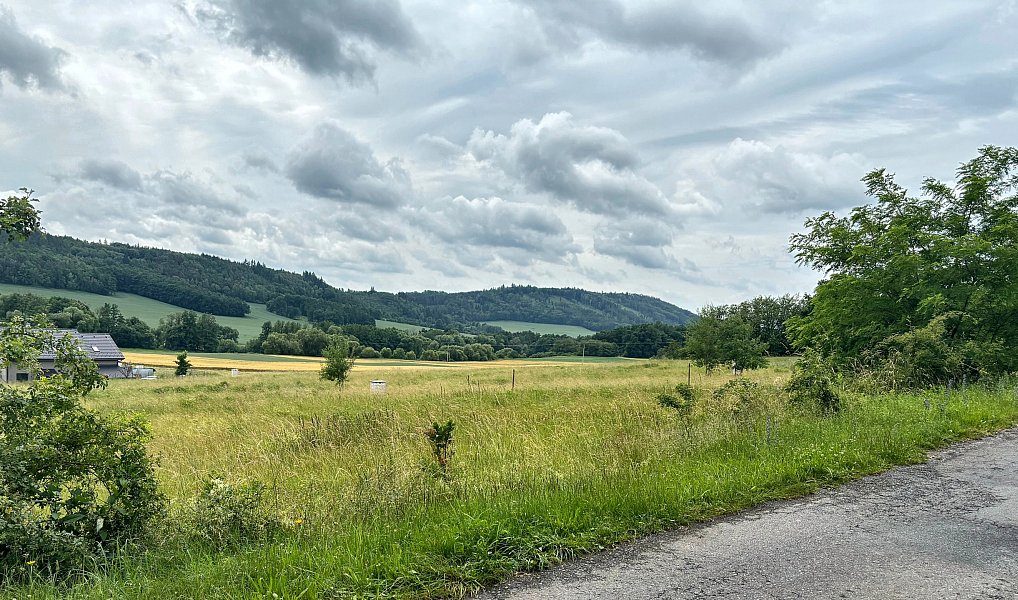 Prodej stavebního pozemku 1 333 m², Neveklov – náhled fotky 3