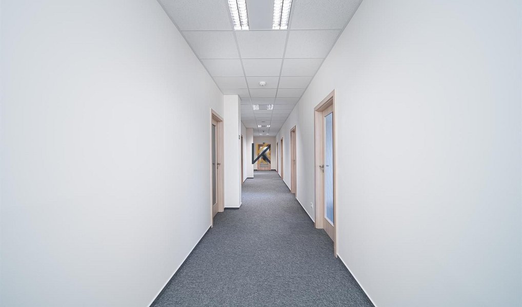 Pronájem kanceláře 268 m², Praha – náhled fotky 4