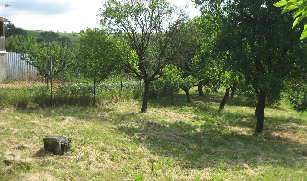 Prodej stavebního pozemku 720 m², Jalubí – náhled fotky 11