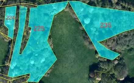 Prodej pozemku 26 240 m², Kvítkov, okres Česká Lípa