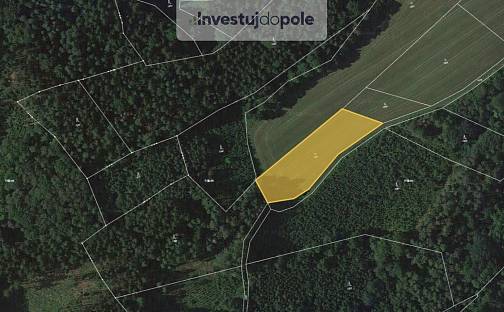 Prodej louky 4 244 m², Úbislavice, okres Jičín