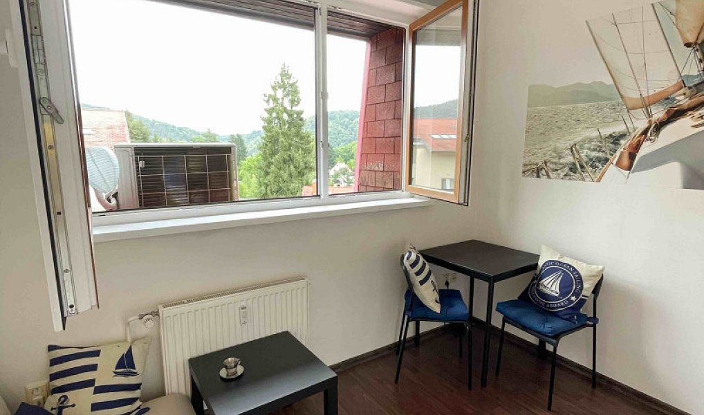 Prodej bytu 1+kk 17 m², Slapy – náhled fotky 4