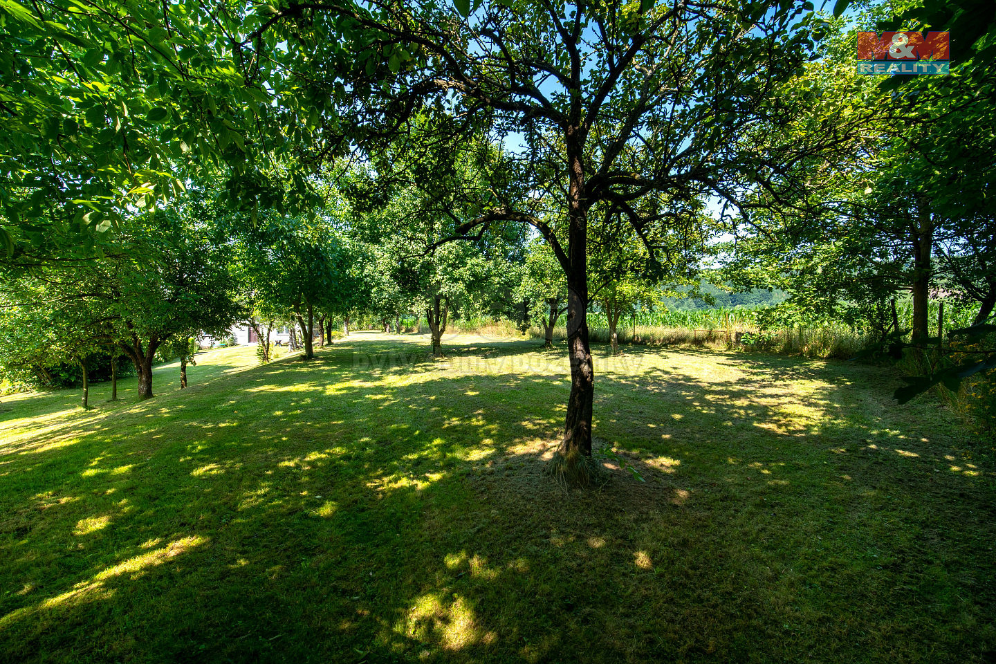 Prodej stavebního pozemku 706 m² — photo 3