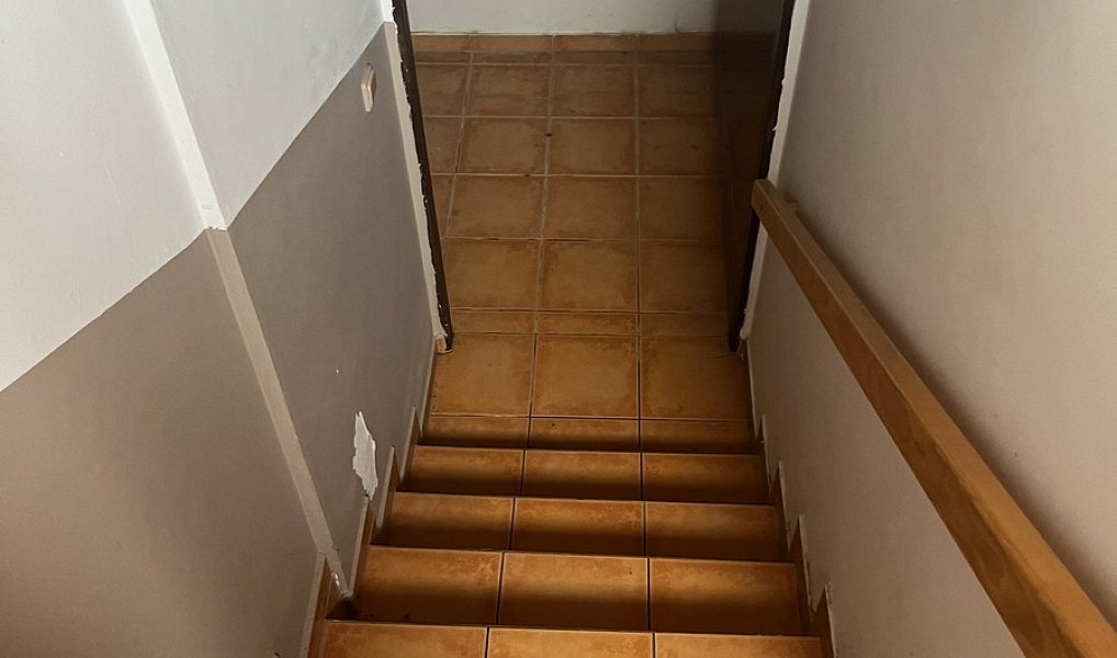Prodej domu 160 m² s pozemkem 4 055 m², Podhradní Lhota – náhled fotky 45