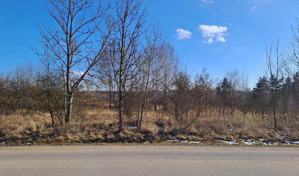 Prodej komerčního pozemku 15 899 m², Šafov – náhled fotky 2