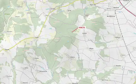 Dražba lesa 3 557 m², Loučka