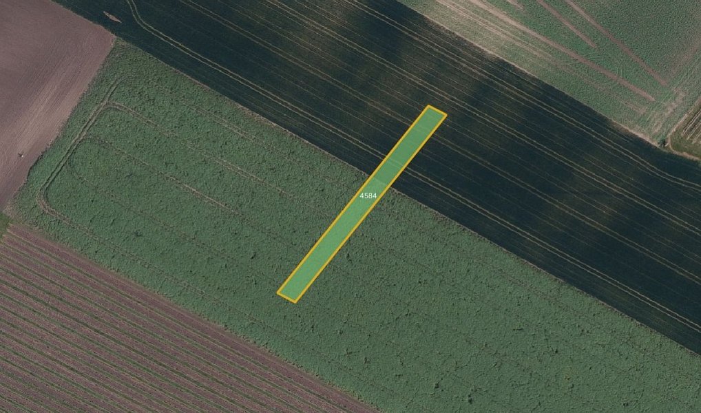 Prodej pole 10 860 m², Klobouky u Brna – náhled fotky 3