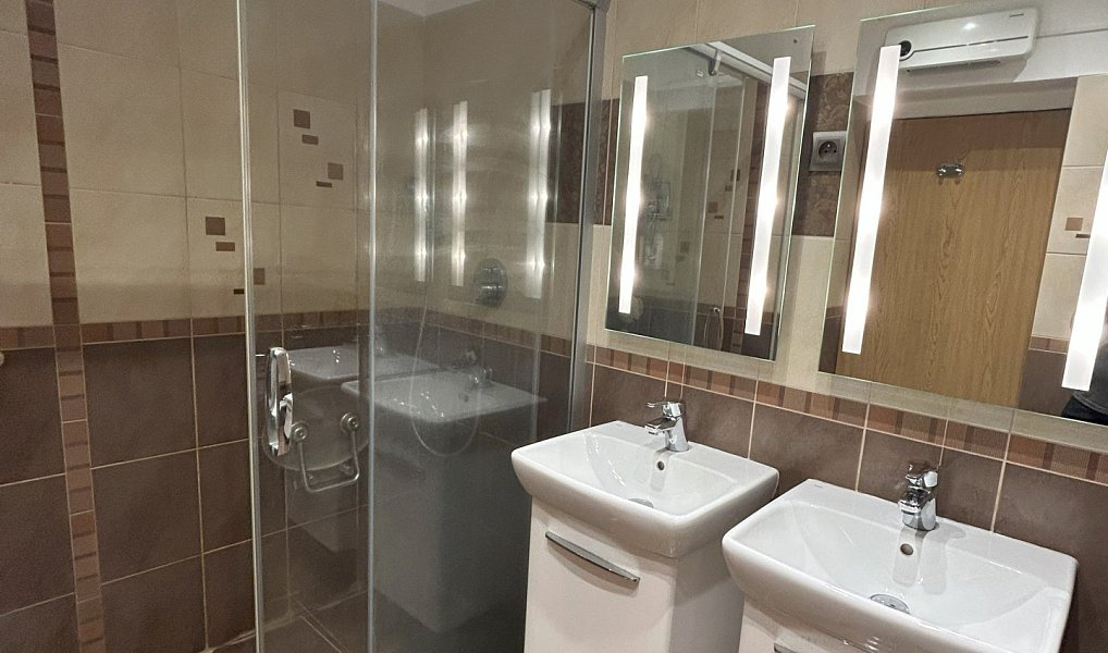 Prodej domu 250 m² s pozemkem 2 264 m², Nový Bor – náhled fotky 22