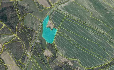 Prodej lesa 13 318 m², Kravaře - Nýřany