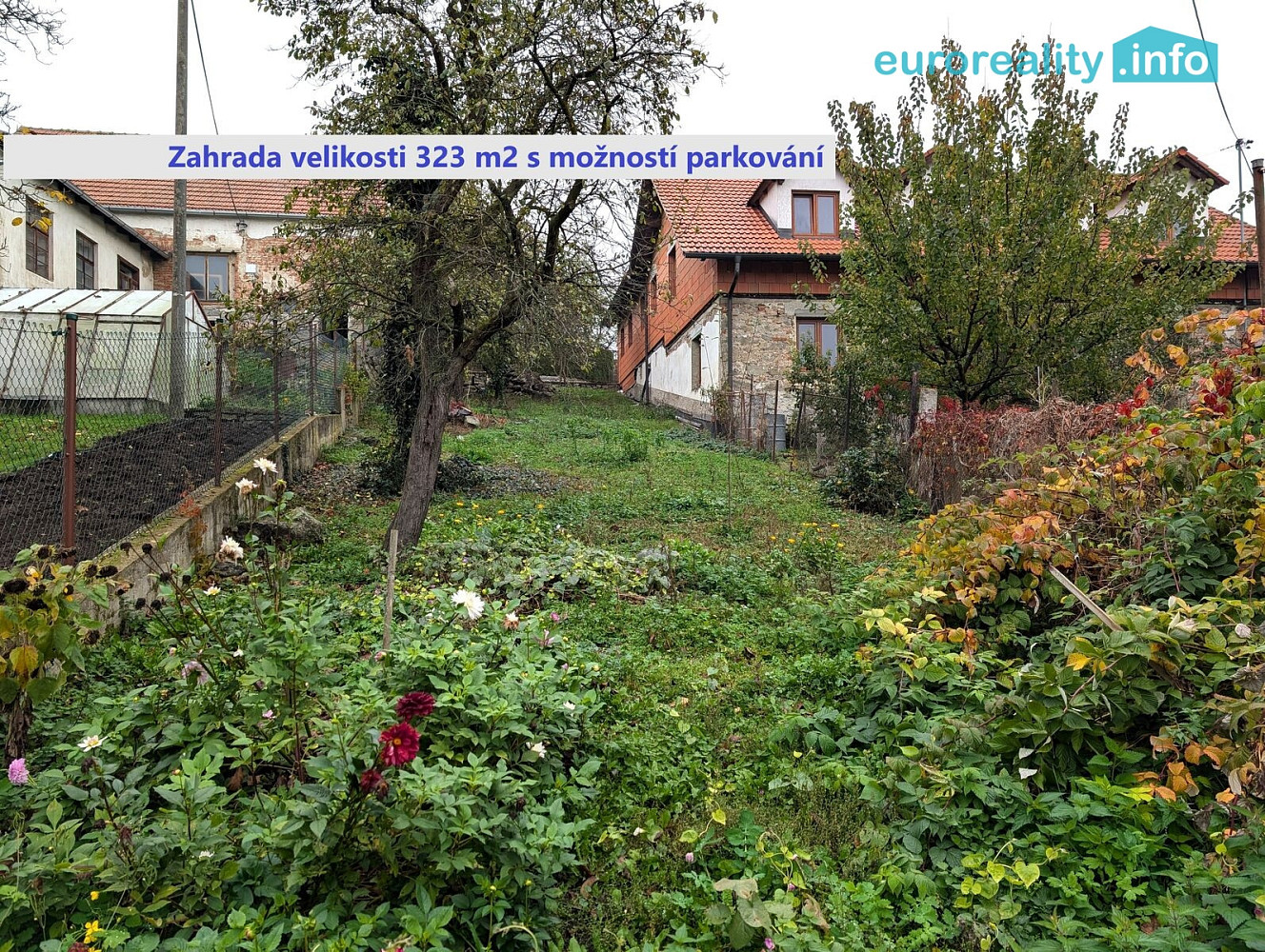 Fotka 20 z 25
