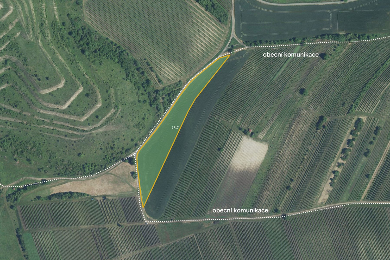 Prodej pole 9 912 m², Dolní Dunajovice