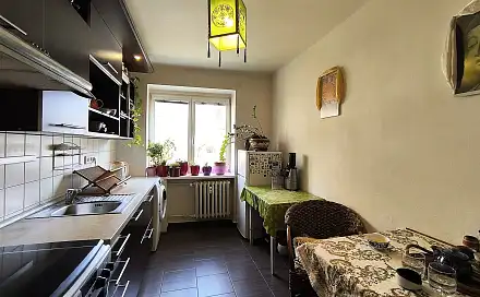 Prodej bytu 1+1 45 m², Klímova, Brno - Žabovřesky