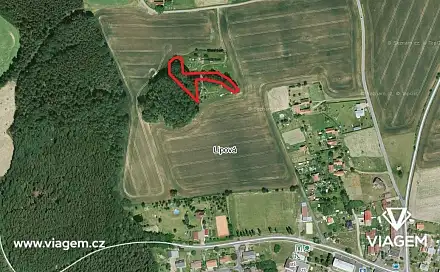 Prodej lesa 2 049 m², Lipová, okres Cheb