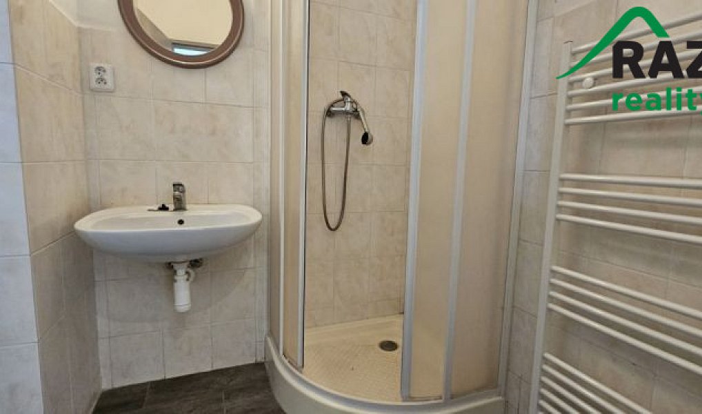 Prodej domu 263 m² s pozemkem 272 m², Plzeň – náhled fotky 8