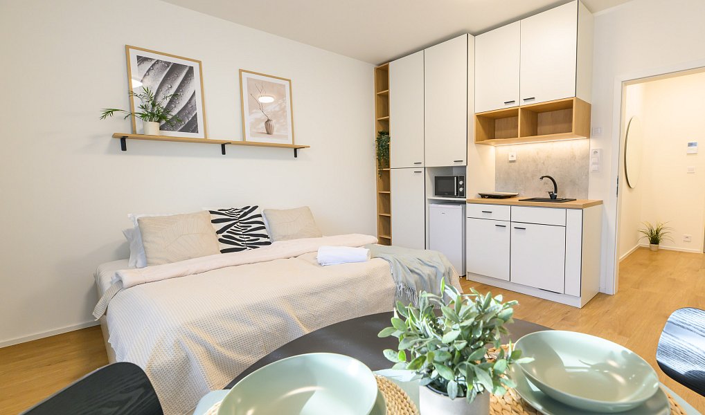 Pronájem bytu 1+kk 27 m², Brno – fotka 1 z 18