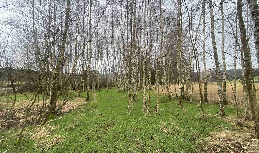 Prodej pozemku 10 244 m², Hosín – náhled fotky 3