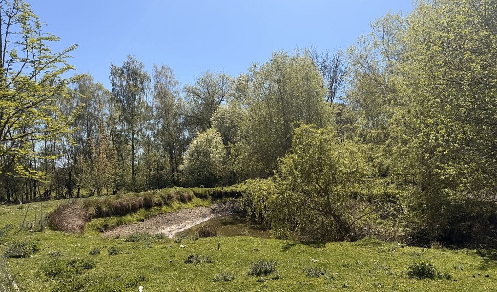 Prodej domu 725 m² s pozemkem 7 880 m², Bor – náhled fotky 37