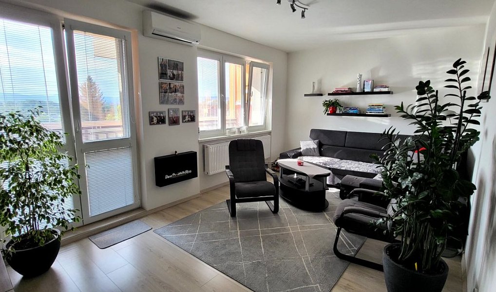 Pronájem bytu 3+1 90 m², Nový Jičín – náhled fotky 4