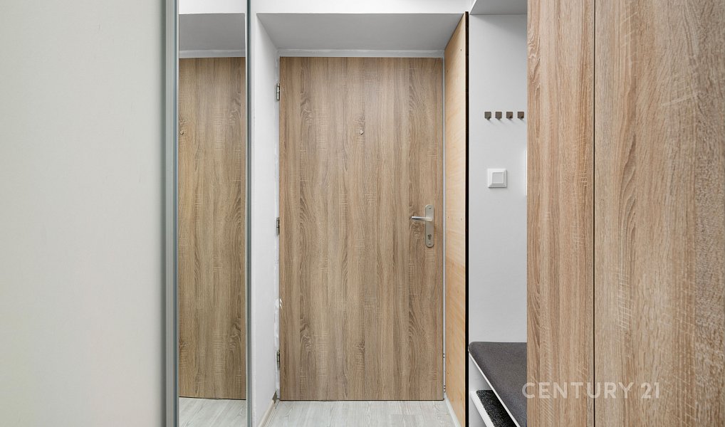 Prodej bytu 1+kk 46 m², Brno – náhled fotky 8